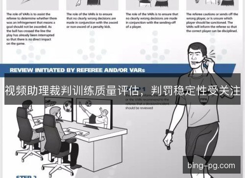 视频助理裁判训练质量评估，判罚稳定性受关注